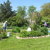 Garden of the Davenport House