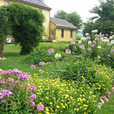 Garden of the Davenport House